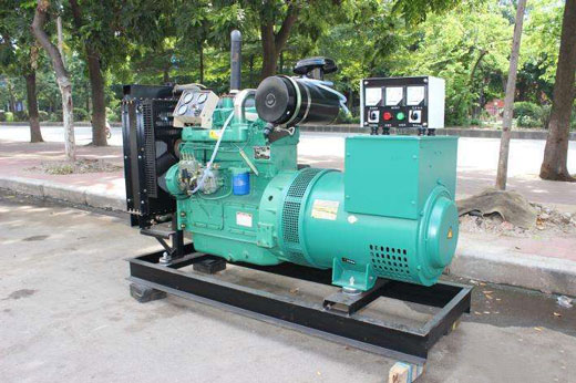 九合垸原种场发电机不发电的原因