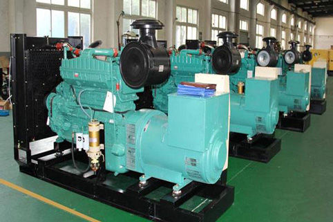 九合垸原种场小型柴油发电机