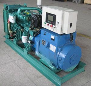 九合垸原种场发电机出租